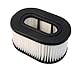 Hoover Fold-A-Way/ WidePath Bagless Upright HEPA & Exhaust Filter Kit