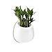 T4U 3.9 Inch Wall Mounted Succulent Hanging Planter Ceramic Flower Plant Pot Pack of 2 – Small White, Home and Office Desktop Decoration Ideal Gift for Wedding, Birthday, Party, Christmasthumb 1