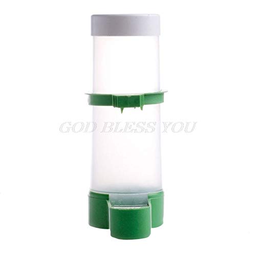 Bead Feeder - Bird Pet Drinker Feeder Food Waterer Clip Budgie Lovebirds - Containers Accessories Cups Feeders Formula Bath Trough Tray Arbor Hook Clips Feeding Blocks House Bell Port Bowls Gui - Thumbnail 2