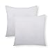 PHANTOSCOPE 2 Packs Polyester Throw Pillow Insert Sham Square Form Sofa Bed Pillow White for Home Decor 22