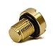 Tulga Fifth Wheel Replacement Coolant Tank Bleeder Screw Upgrade Brass Coolant Reservoir Screw for BMW E46 E92 E90 E36 E39 Mini Cooper OEM Quality