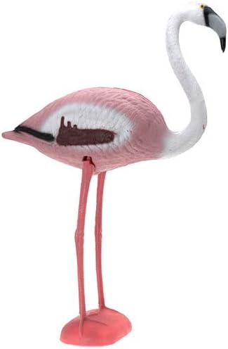 Flamingo voegel verkauf