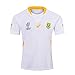 LQWW 2019 World Cup South Africa Rugby Jersey,Men's Training Jersey Short Sleeve Tops Men's Casual Sports T-Shirt Football Clothing
