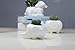 WISH HALLY WOOD Set of 2 Cute Elephant Flower Pot,Modern White Ceramic Succulent Planter Pots/Tiny Flower Plant Containers (Elephant)