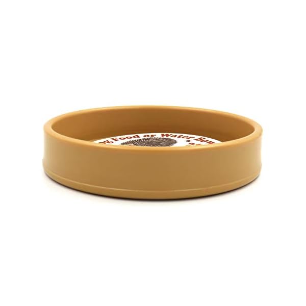 Hatchwell-Hedgehog-Bowl-for-Food-or-Water-200-g-orange Hatchwell Hedgehog Bowl for Food or Water, 200 g, orange