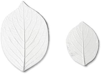 上 葉脈 葉脈標本 重曹