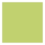 Montana Pistachio Green MTN 94 Spray Paint, 400-Millilitre Matt