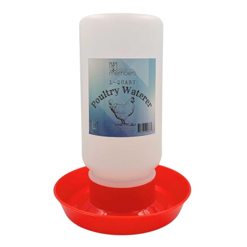 Little Family Members Chicken Waterer