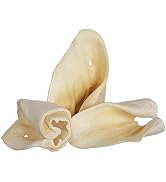 Pawstruck Jumbo Cow Ears for Dogs | Made in USA & Natural | Healthy Bulk Dental Dog Treats | Sing...