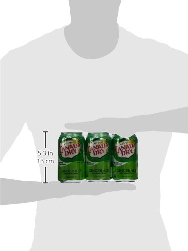 CANADA DRY GINGER ALE 12 OZ