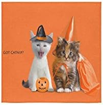 Halloween Kitten Pumpkins Custom Beach Hotel Travel Washcloth Hand Towel Warmer Soft and Comfortable 80% Polyester 20% Cotton, (13" x 13")