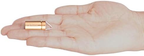 Fujimori Led キーホルダー 懐中電灯 ライト 小型 軽量 防水 省エネ 強力 輝度 軍用 停電 防災 対策 Ledライト 完全防水 超小型 超軽量 弾丸 ミニライト