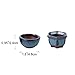 Bonsai 20 Mini Glazed Pots Small Succulent Plant Flower Planters
