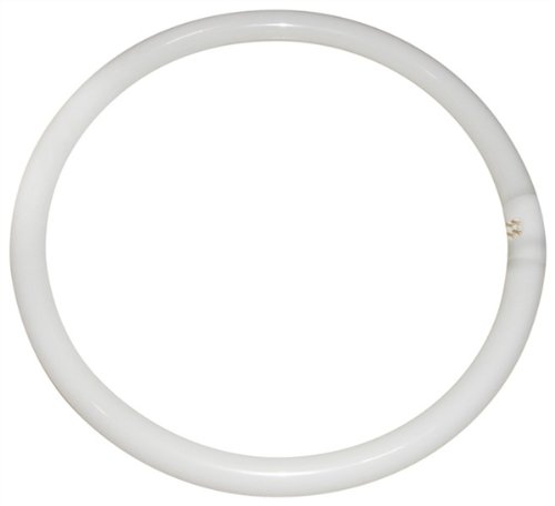 Eveready CIR40SPWW Circular Fluorescent Tube, Glass, Warm White, GR10q, 40 W
