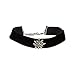 Alpenflüstern Traditional Velvet Choker with Rhinestone Edelweiss, Ladies costume jewelry, wide ribbon. bavarian necklace close-fitting, elastic choker for Dirndl,Leather trouser, Oktoberfest (black)