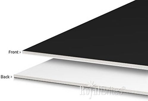 Foam Board 2 Cool Colors Black/White, 22"x28", 4/Case