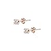 Rose Gold Earrings for Women Flashed Sterling Silver Studs for Men Fashion Trendy 2mm Round Stud Tiny Cubic Zirconia Cartilage Earring Sets for Multiple Piercings, 2 Pairs