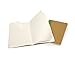 Moleskine Evernote Journal with Smart Stickers, Soft Cover, Large (5