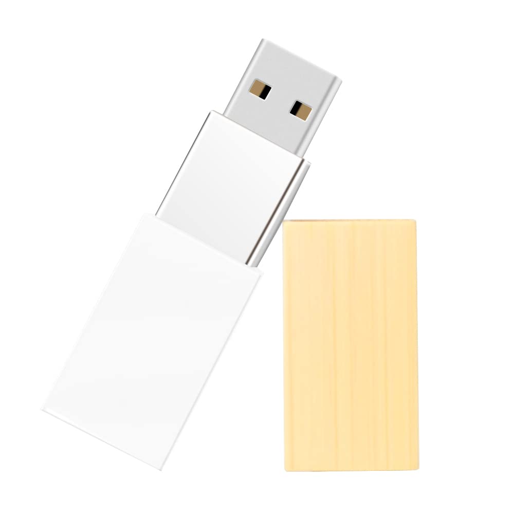 Chiavetta USB Acrilica 64GB, LEIZHAN Silicone Memory Stick Pendrive Flash Drive Regali per Studenti, Famiglie e Bambini (64GB, Acrilico)