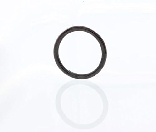 Minshao Seamless Hinged Segment Sleeper Clicker Lip Nose Septum Piercing Hoop Ear Ring (B)