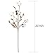 Ageomet 4pcs Cotton Stems 21