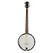 Top Grade Exquisite Professional Sapelli Notopleura Wood Alloy 6-string Banjo
