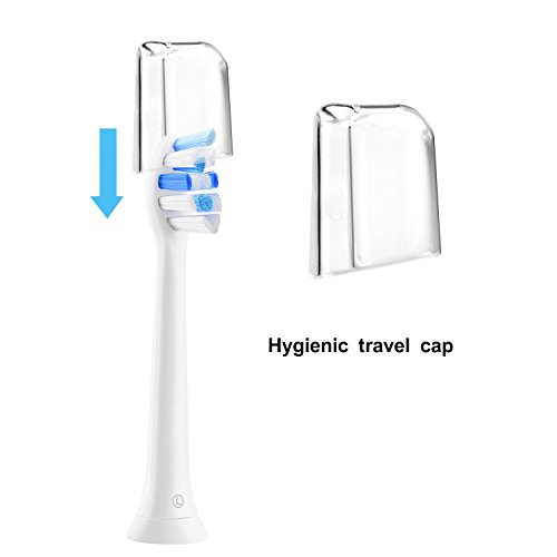 image for Sonicolor Sonicare Replacement Brush Heads for Philips Sonic Toothbrus