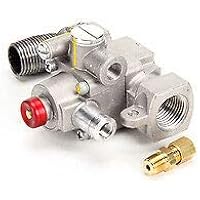Amazon.com: Blodgett 19323 Valve Assembly Safety : Industrial & Scientific