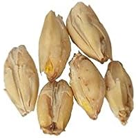 Brewmaster GR300FM Malt - 2-Row Pale - 10 lb Milled