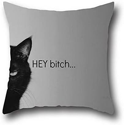Oshiley Oil Painting Black Cat Funny Simple Design Pillowcase Wood Panel Multicolor ( 16*16 )