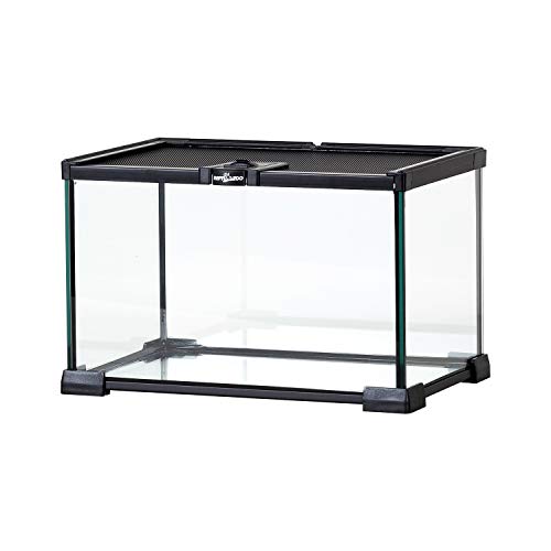 REPTI ZOO Mini Reptile Glass Terrarium Tank 12“ x 8" x 8" Full View