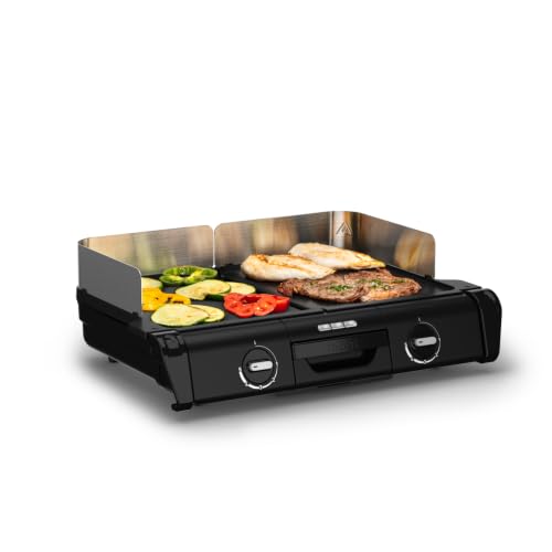 Tefal BBQ Family Elektrischer Tischgrill, 2 getrennte Grillflächen, 2 Thermostate, antihaftbeschichtete Alu-Druckguss Grillplatten, spülmaschinengeeignet, extra tiefe Rillen, Schwarz/Silber, TG800N10