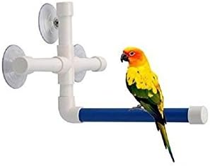 macaw stand