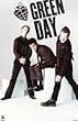 Green Day (Group, American Idiot) Music Poster Print - 16" X 20"