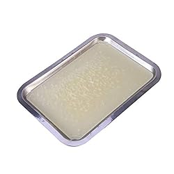 UKCOCO Wax Dissection Tray - Stainless Steel