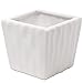 Modern Ribbed Design White Ceramic Succulent Planter, Set of 2