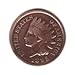1895 Indian Head Cent Penny