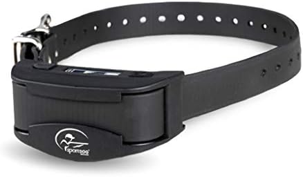 information about labradors