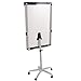 VIZ-PRO Dolphin Magnetic Mobile Whiteboard/Flipchart Easel, 28 X 40 Inches