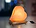 Himalayan Large 5 to 7 lbs Double Heart Salt Lamp with Dimmer Switch Cord Neem Wood Base with 2 Bulbs