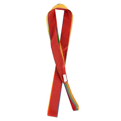 Mydio 12 Pack Rainbow Ribbon Rhythm Ribbon Dance For Kid's Dance Routines and Play,Set of 12