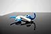 Earhoox 2 Pairs AirPods Ear Hooks and Anti Slip Covers Compatible with Apple AirPods 1 & AirPods 2 or EarPods Headphones/Earbuds