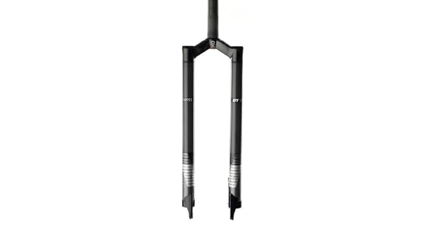dt swiss rigid fork