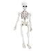 Kalttoyi Movable Mr. Bones Skeleton Human Model Skull Full Body Mini Figure Toy Halloween
