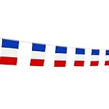 France Flag French Flag,LoveVC 100 Feet National Country World String Flags Banners,International Party Decorations Supplies For Olympics,World Cup,Sports Clubs