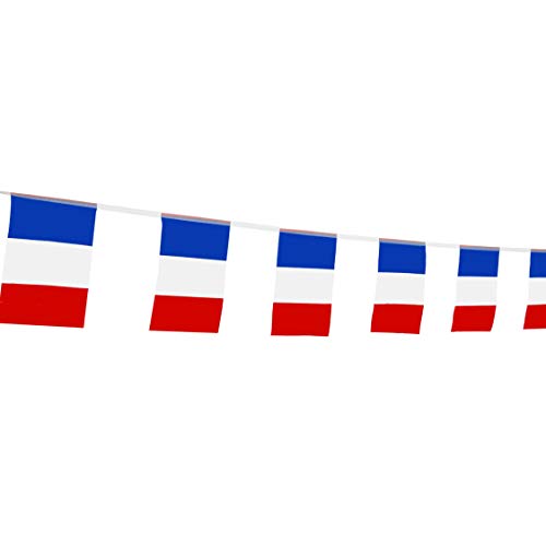 France Flag French Flag,LoveVC 100 Feet National Country World String Flags Banners,International Party Decorations Supplies For Olympics,World Cup,Sports Clubs