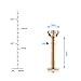 Vcmart 2pcs 14k Gold Plated Lip Rings 16g Surgical Steel Labret Monroe Internally Threaded 8mm Bar
