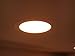 Par 20 15 Pack FL25 50PAR20/FL 50 Watt Halogen Spot Light Bulb Replacement 120V 130V Edison Base Flood Beam Lighting Range Hood Oven PAR20 Reflector Excel Holgen Hologen Bulbs DL Kitchen Bathroom