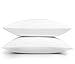 downluxe 2 Pack Queen Zippered Pillow Protectors - Premium Breathable Super Soft Pillow Covers 20