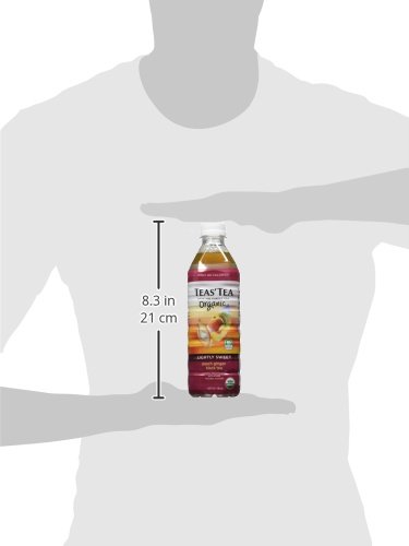 Teas' Tea Organic Lightly Sweet Peach Ginger Black Tea 16.9 Ounce (Pack of 12) Organic Cane Sugar Sweetened No Artificial Sweeteners Antioxidant Rich High in Vitamin C